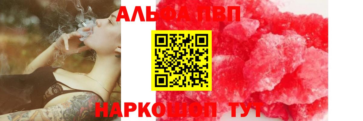 Альфа ПВП СК КРИС Архангельск