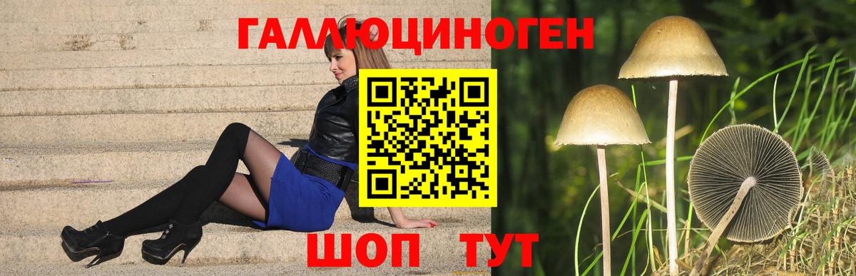Псилоцибиновые грибы мухоморы Архангельск